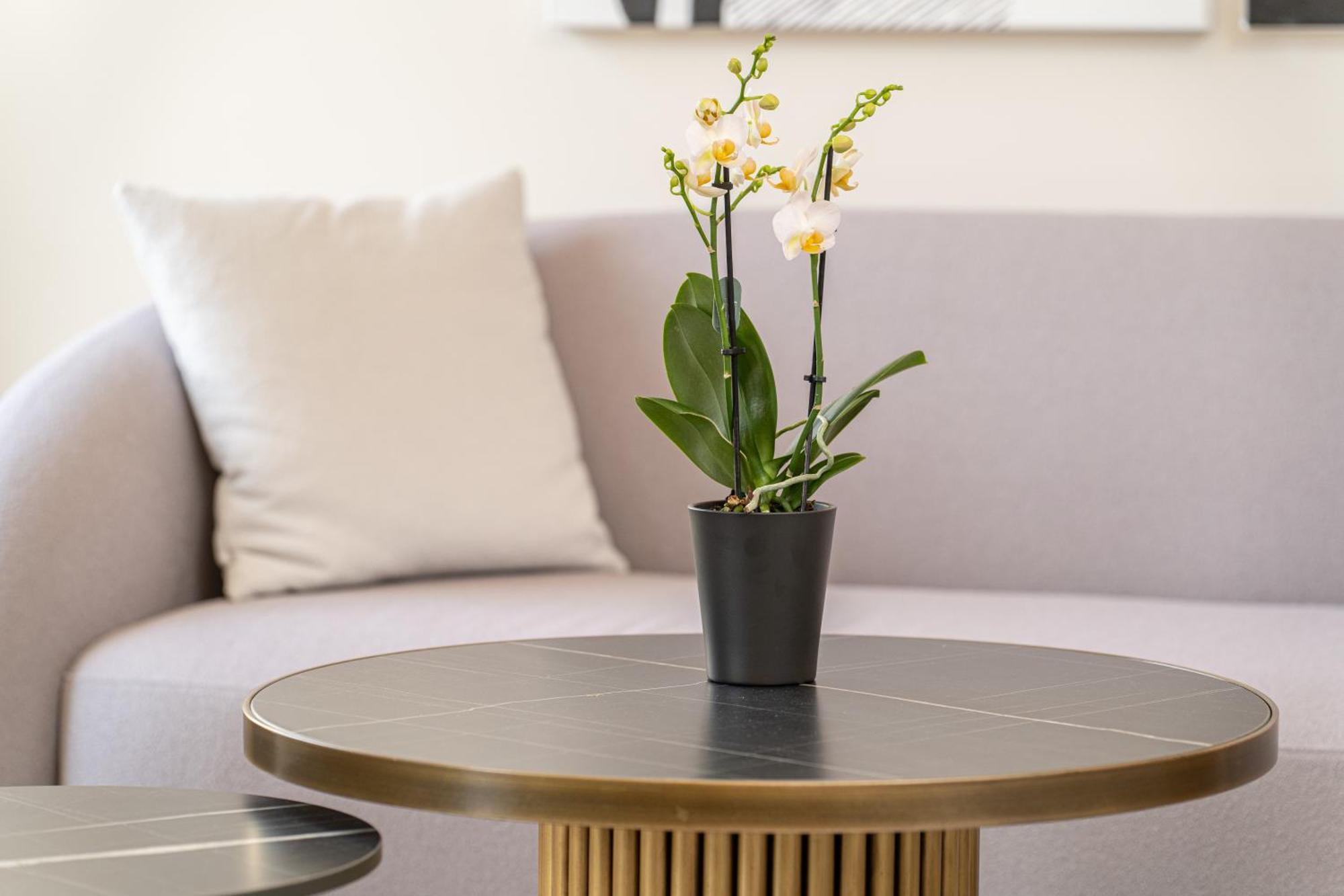 Kantada Central Suite Argostoli  Zewnętrze zdjęcie